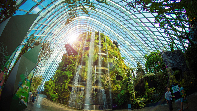The 35m-tall indoor waterfall at the Cloud Forest at Gardens by the Bay